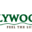 lillywoodsseo