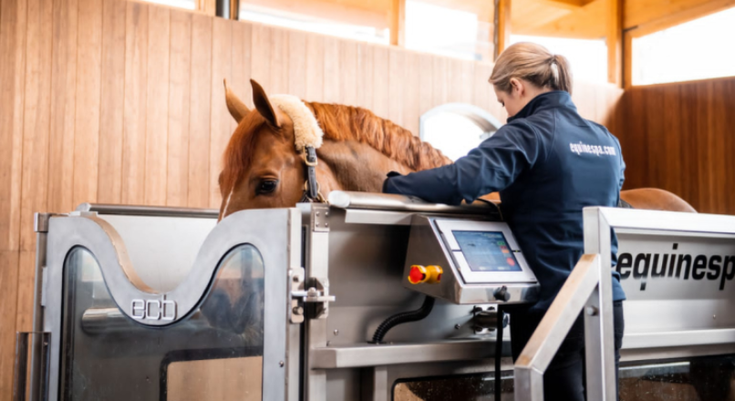 Water Therapy for Horses: Enhancing Equine Health and Performance