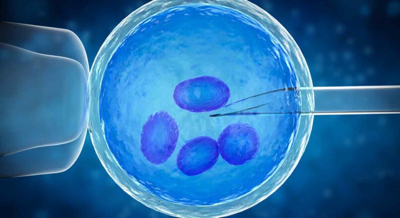 Preimplantation Genetics Diagnosis Market Size, Dynamics & Forecast Report to 2032