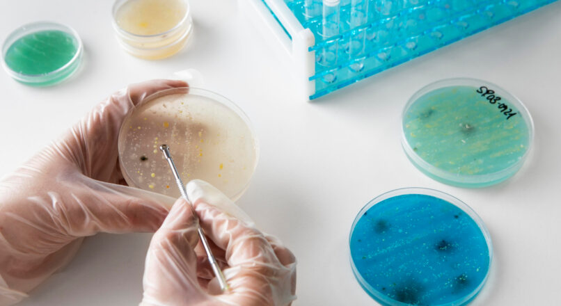 Understanding Plasmid Synthesis: A Cornerstone of Molecular Biology Research