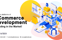 3 eCommerce Development Platforms – Trending in the Market!