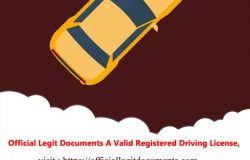 Order Belgian Driving License without the Idea Check or Realistic Exam