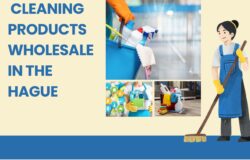 Cleaning Products Wholesale in The Hague: A Spotlight on GroenClean