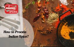 How to Process Indian Spice? with Narayani Spices!!