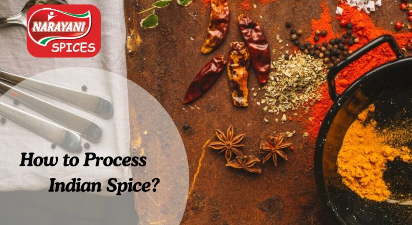 How to Process Indian Spice? with Narayani Spices!!