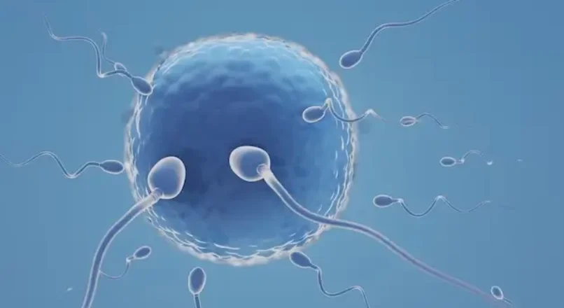 Why is abortion a more common procedure than IVF? IVF treatment in Chennai.