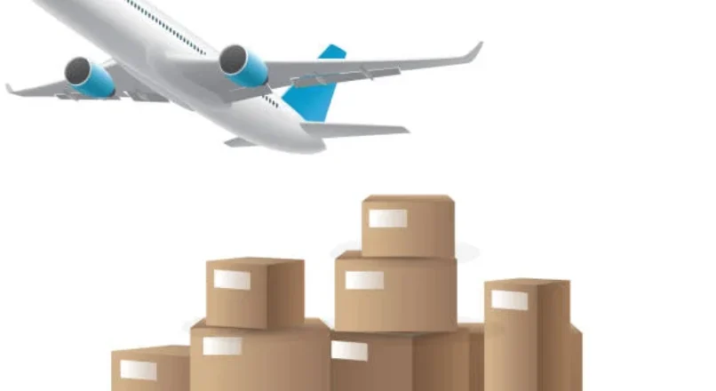 What Types of Cargo Can Be Shipped by These Companies?