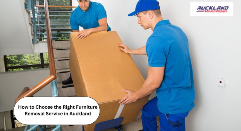 How to Choose the Right Furniture Removal Service in Auckland