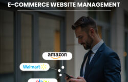 Why Walmart is the Best in E-Commerce: Insights from a Walmart Marketplace Consultant