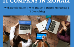 Best IT Company in Mohali for Tailored IT Services | The Code Technologies