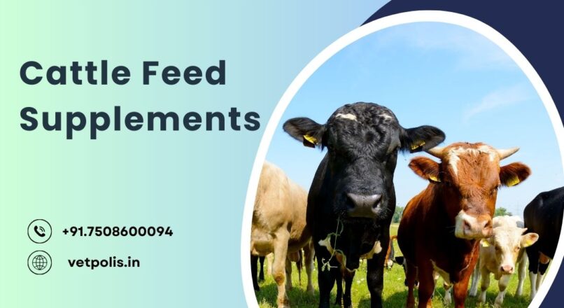 Cattle Feed Supplements & Healthcare Products – Vetpolis